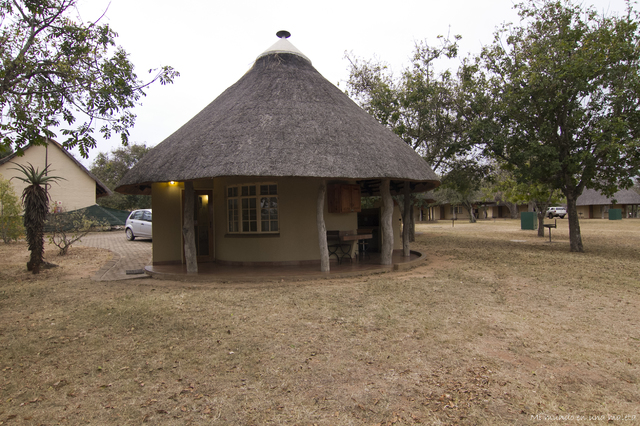 Hlane NP y Kruger National Park: Pretoriuskop - SUDÁFRICA EN EL CORAZÓN (JULIO 2015) (31)