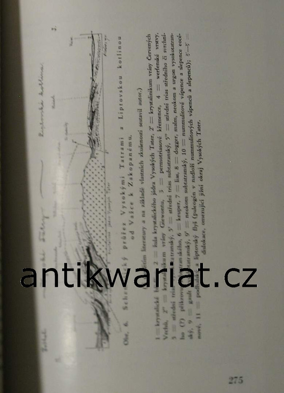 1wa Image00138