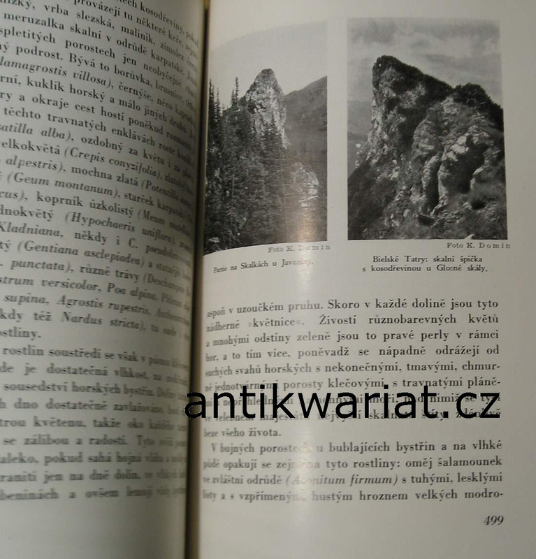 1wa Image00107