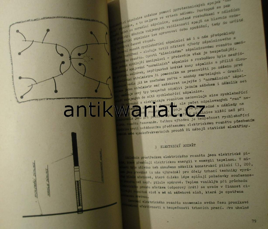 1wa Image00235