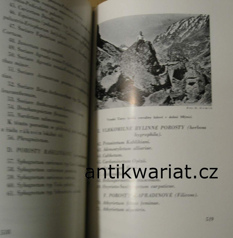 1wa Image00104