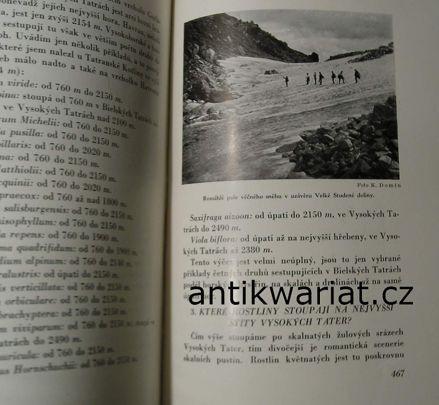 1wa Image00121