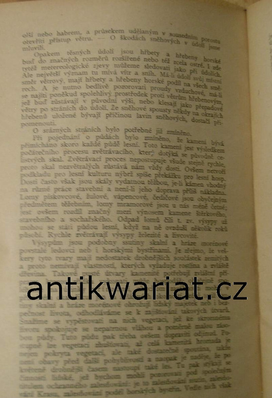 1wa Image00057