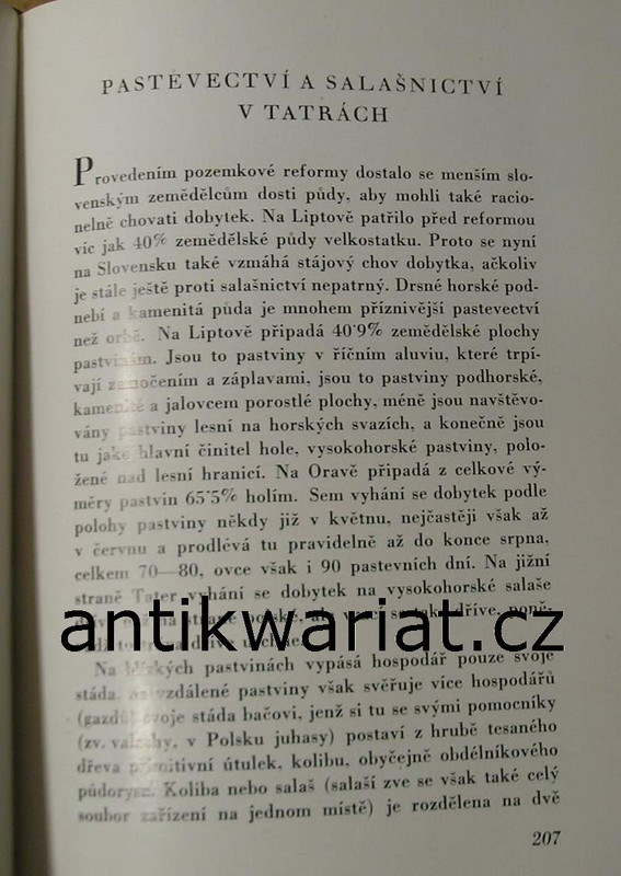 1wa Image00143