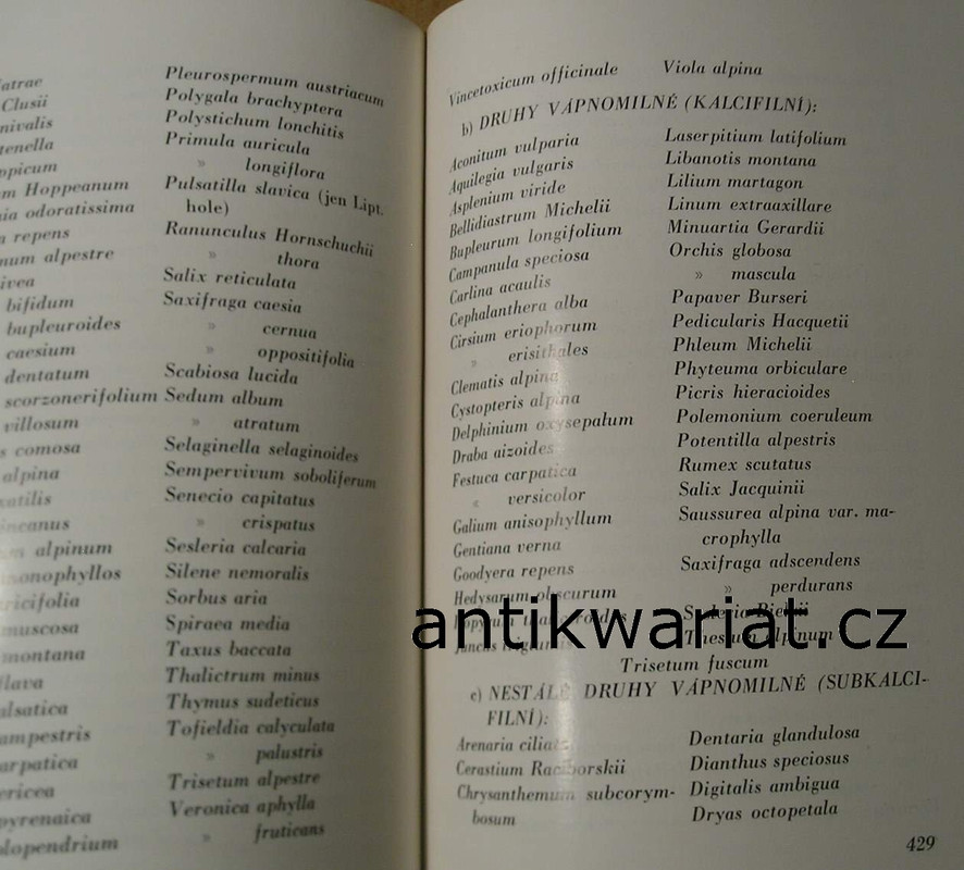 1wa Image00126