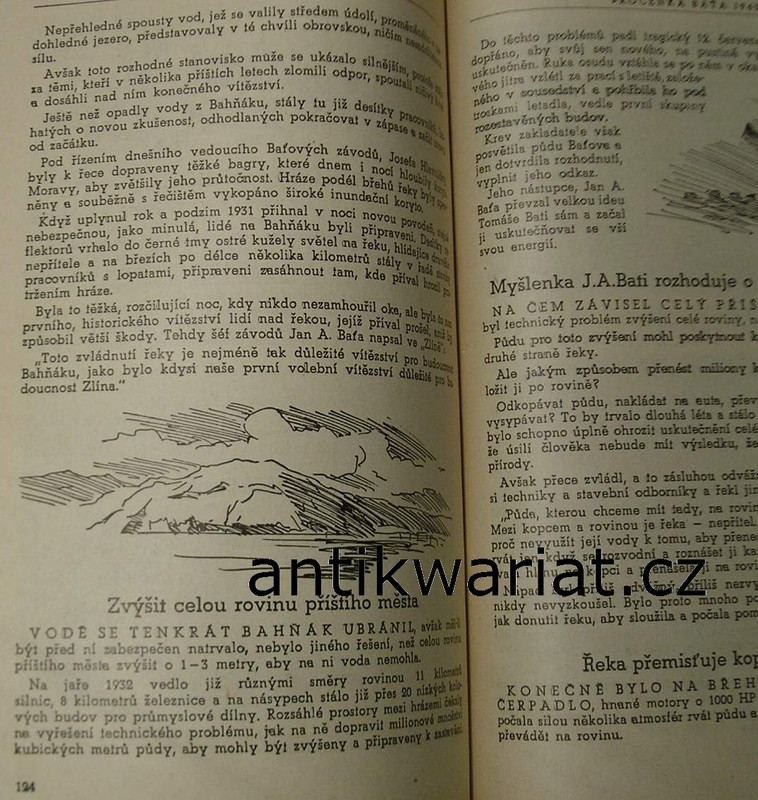 1wa Image00019