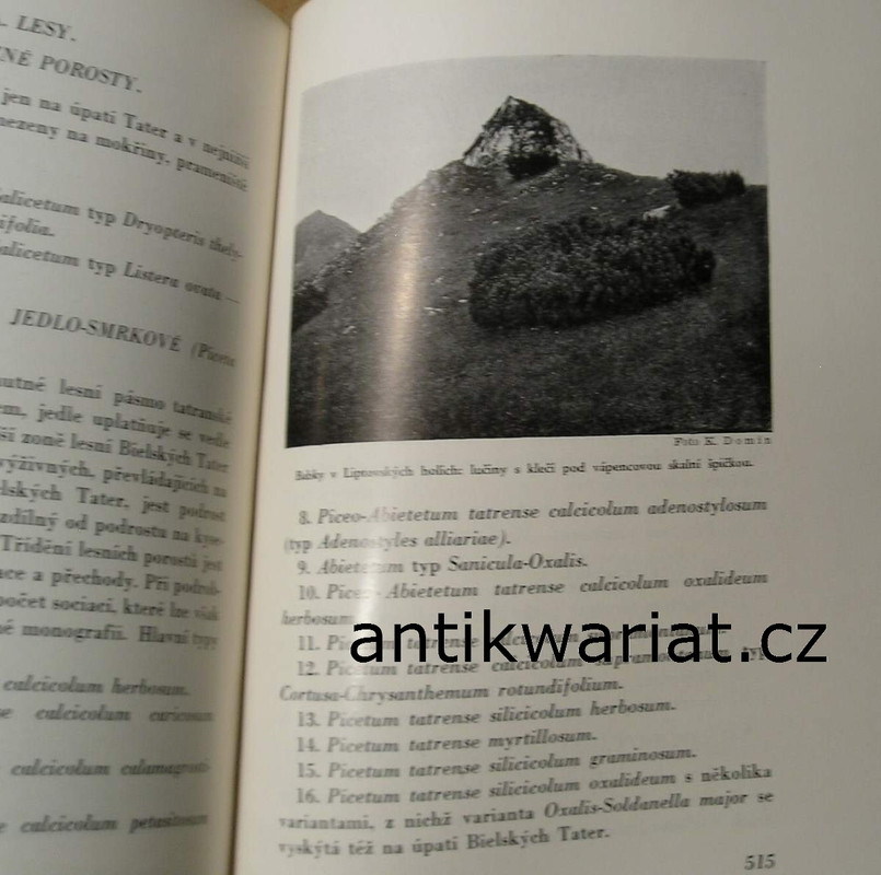 1wa Image00117