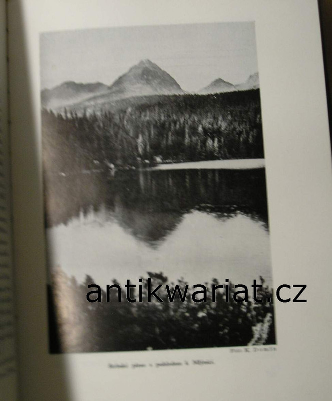 1wa Image00146