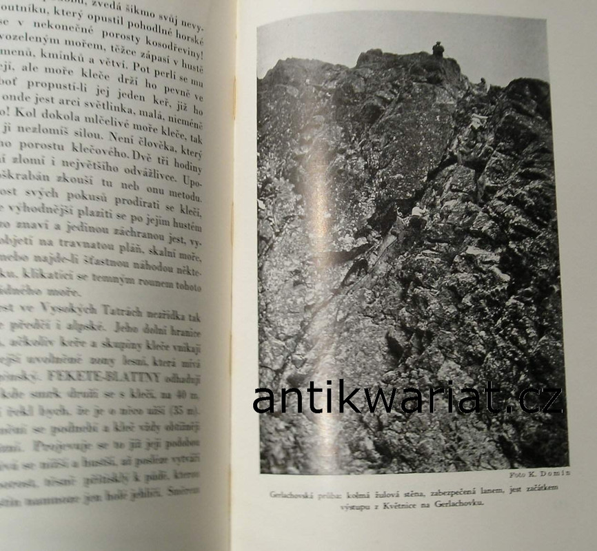 1wa Image00128