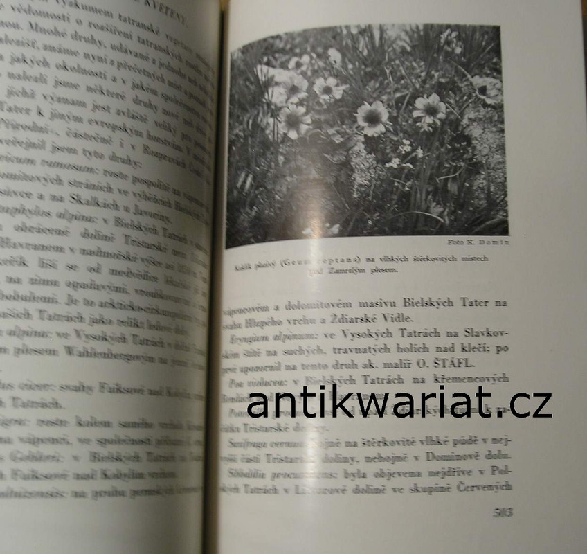 1wa Image00106