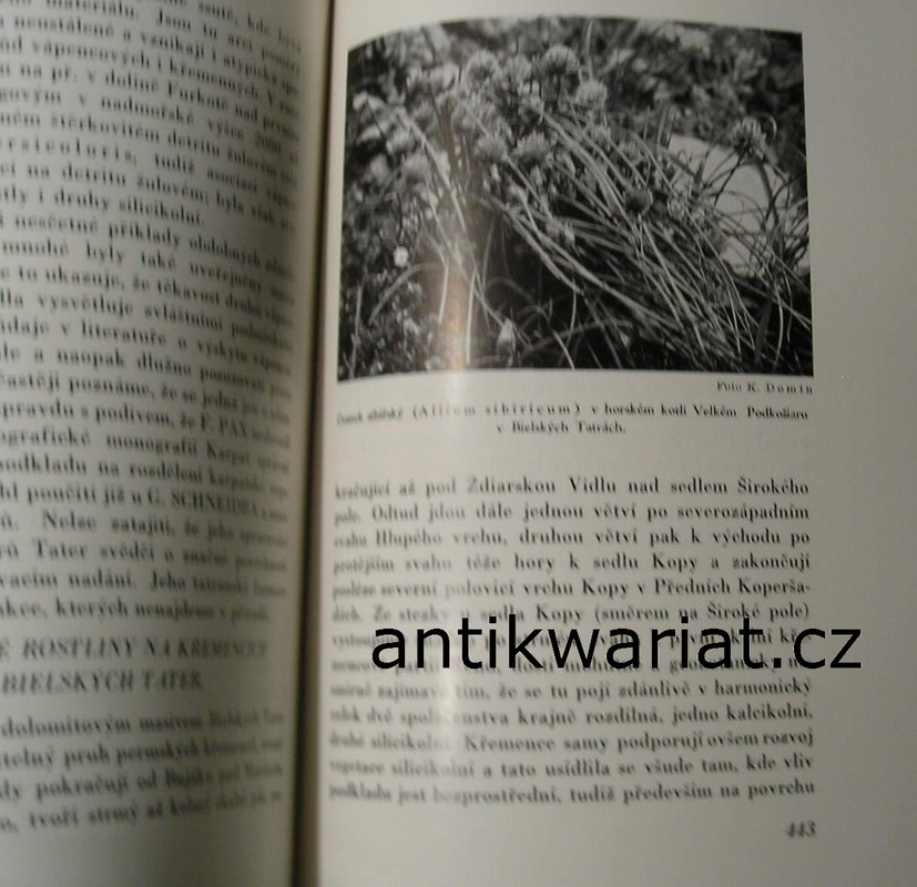 1wa Image00124