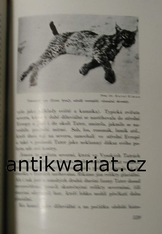 1wa Image00100