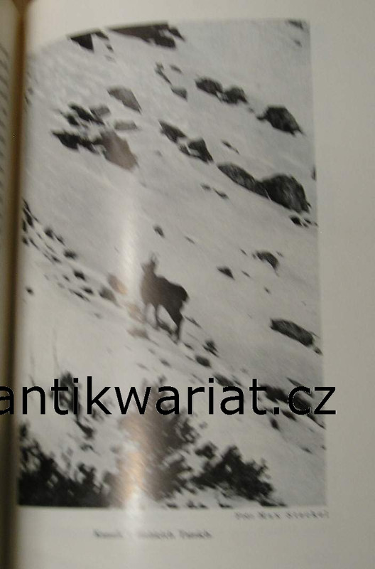 1wa Image00101