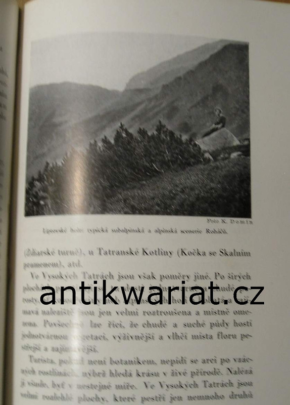 1wa Image00118