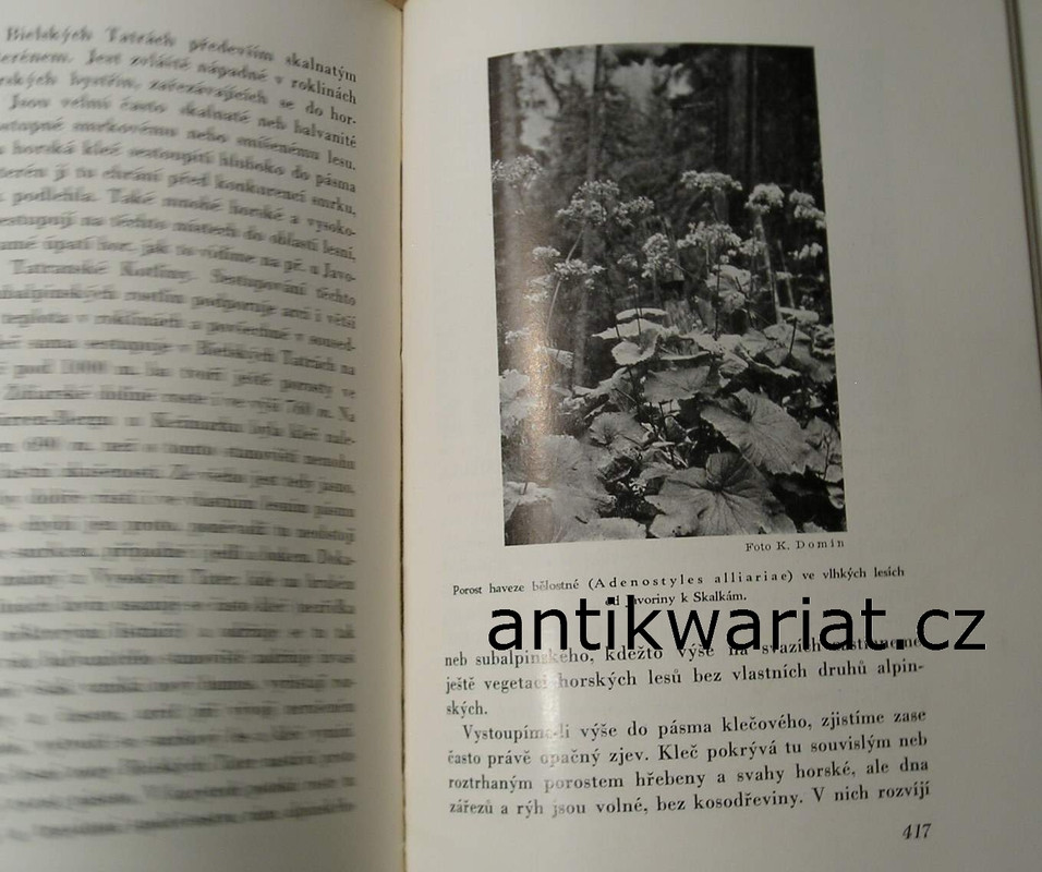 1wa Image00127