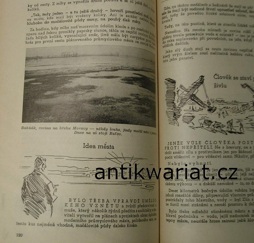 1wa Image00021