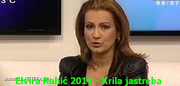 [Slika: Krila_jastreba.jpg]