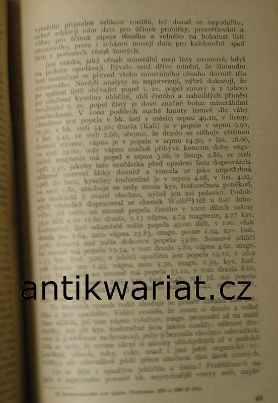 1wa Image00063