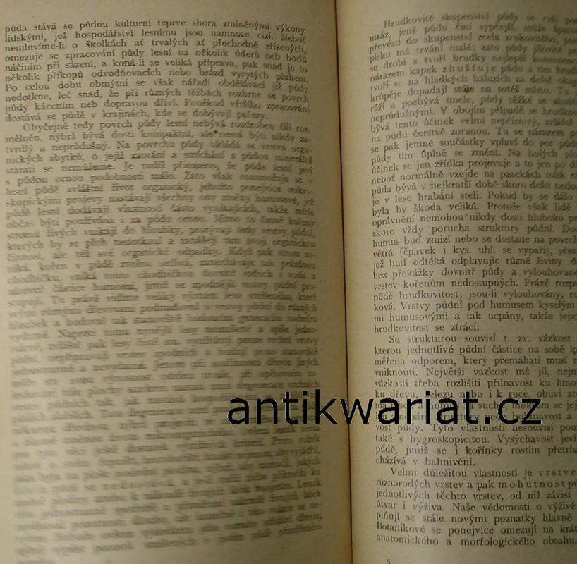 1wa Image00061