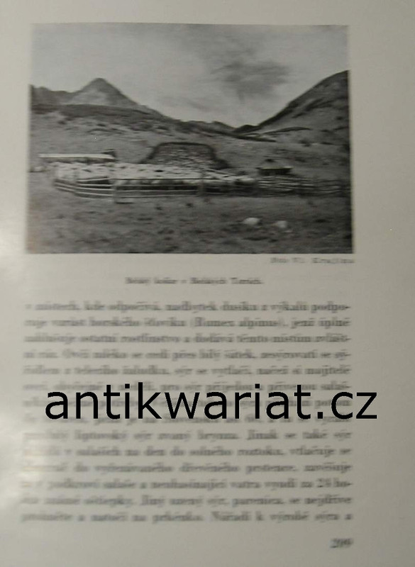1wa Image00093