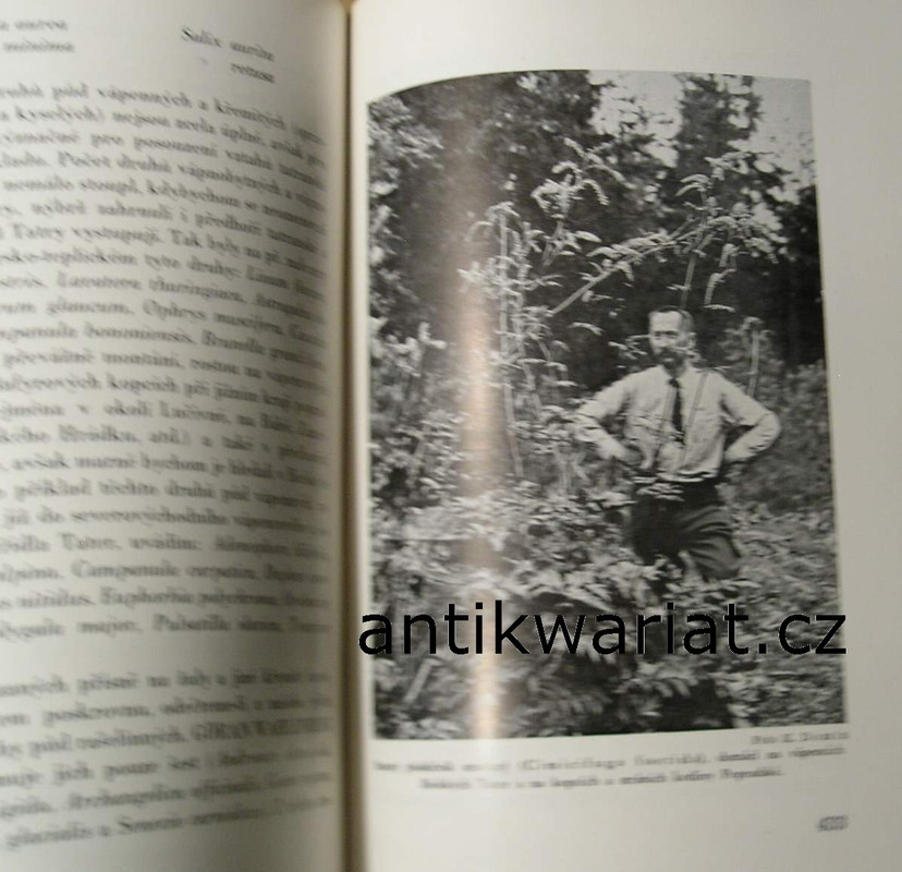 1wa Image00125