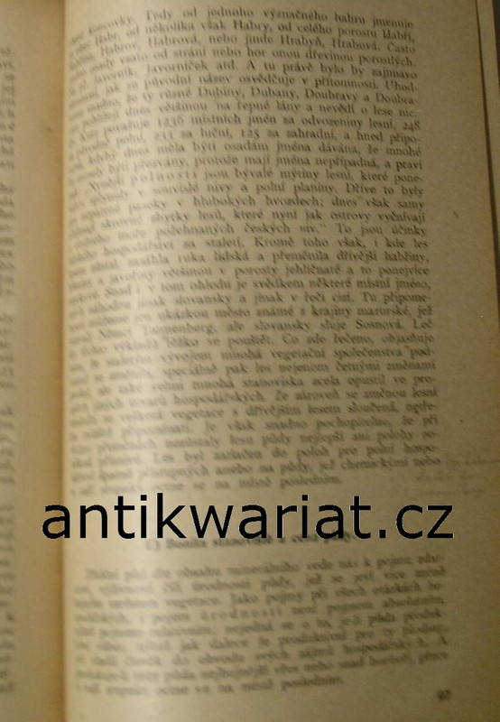 1wa Image00058