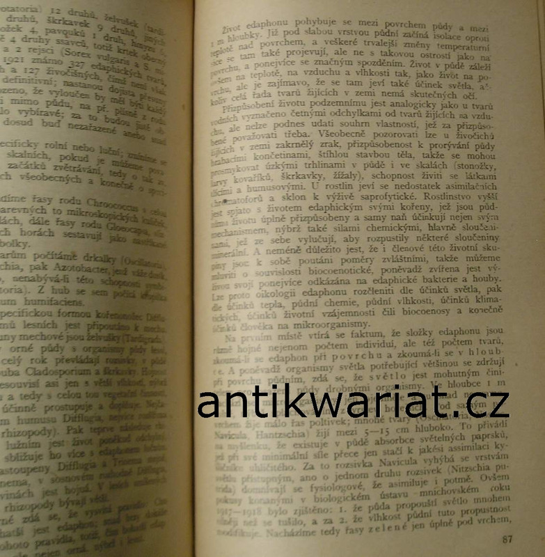 1wa Image00059