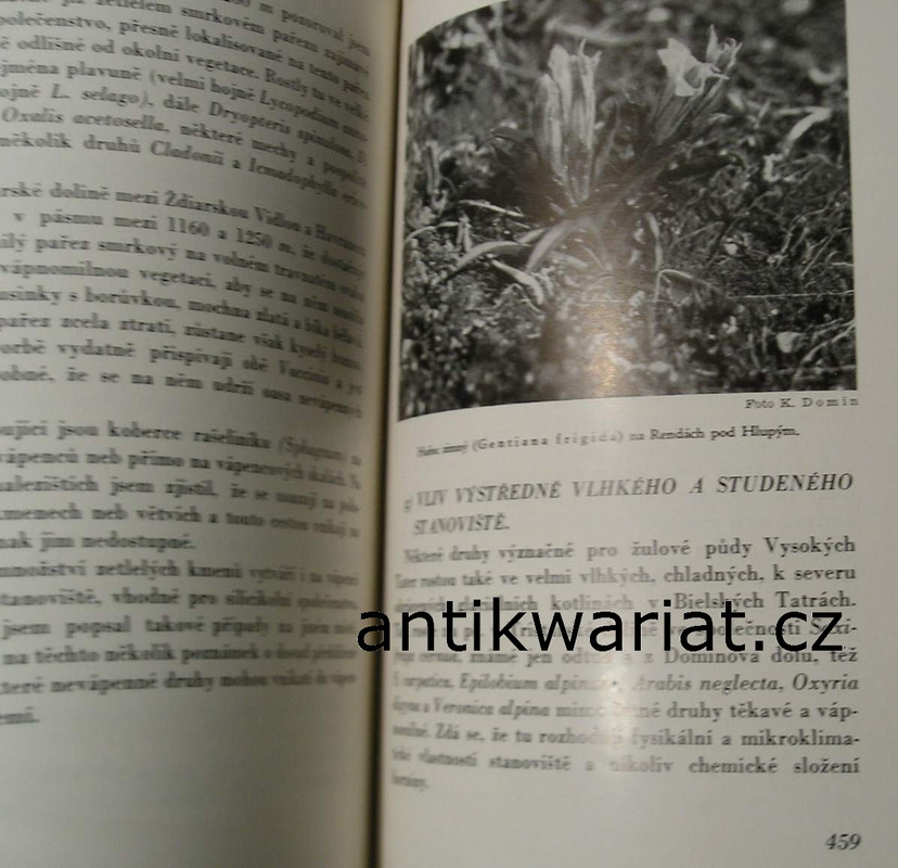 1wa Image00122
