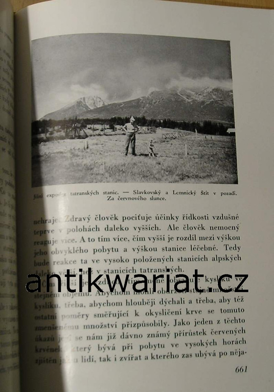 1wa Image00110