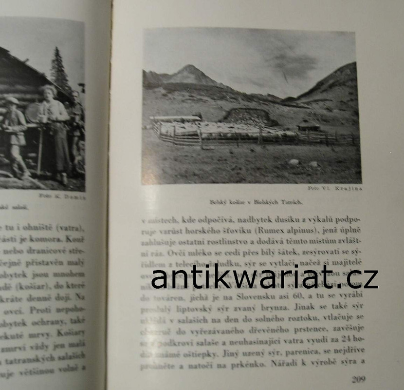 1wa Image00141