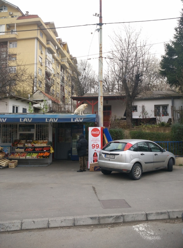 Slika