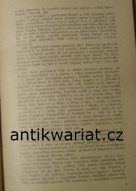 1wa Image00065
