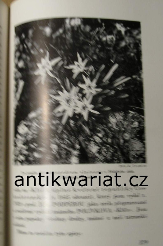 1wa Image00131