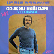 [Slika: Haris_Dzinovic_1976_p.jpg]