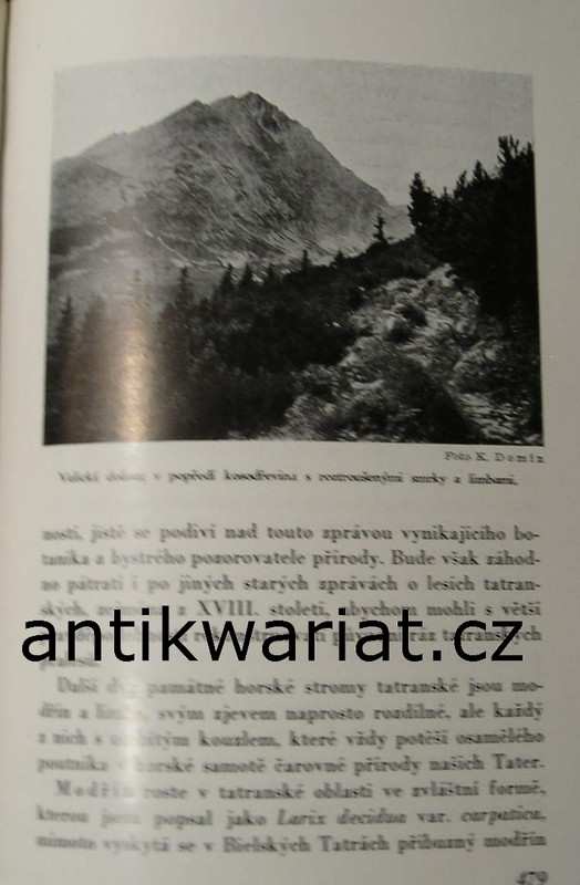 1wa Image00119