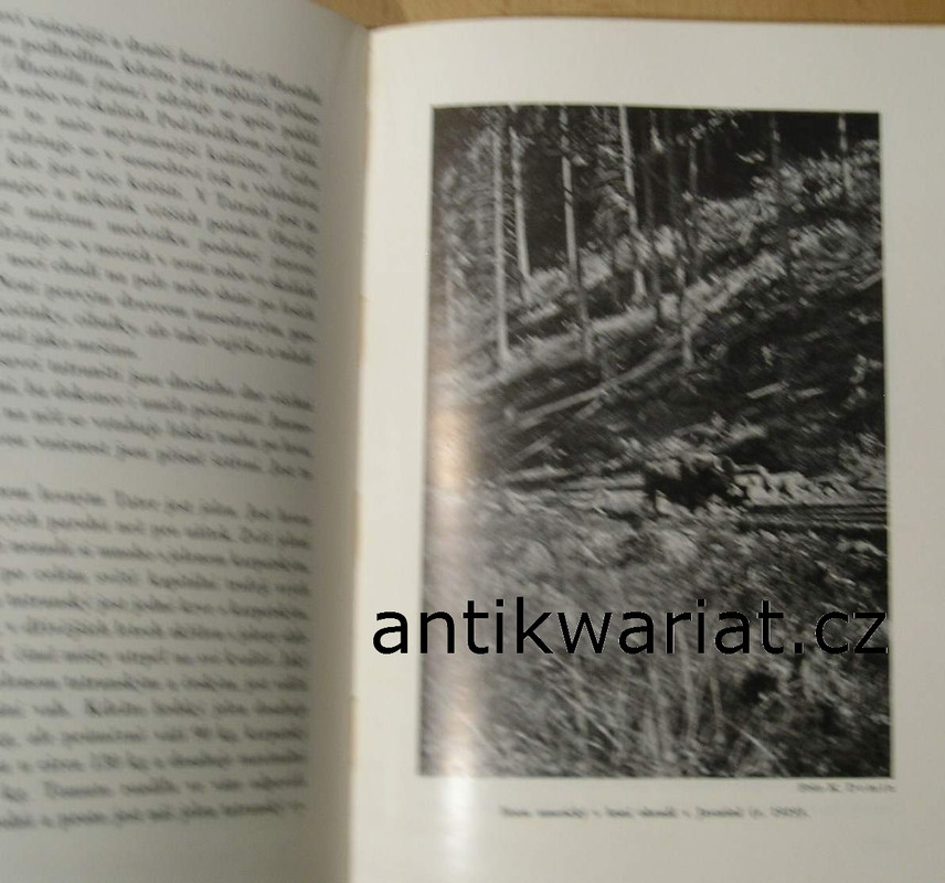 1wa Image00099