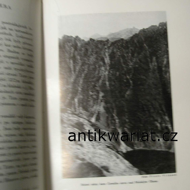 1wa Image00145