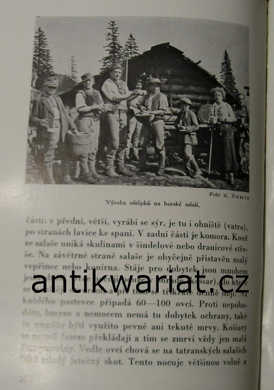 1wa Image00094