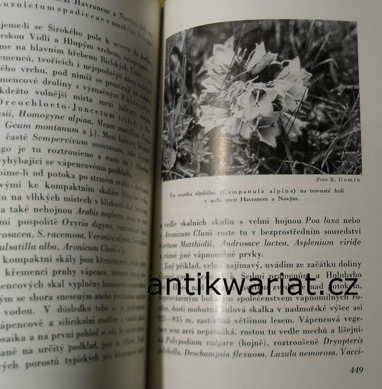 1wa Image00123