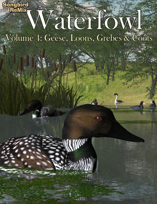 10606 sbrm waterfowl vol 4 geese loons grebes co