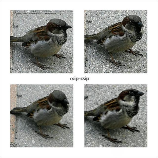 Kép