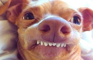 smile.jpg