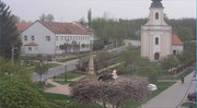 Kép