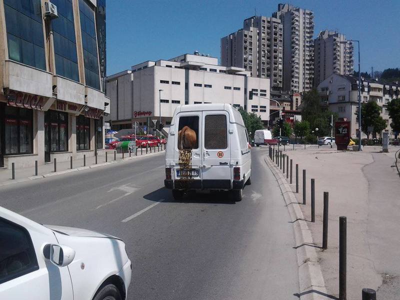 Slika