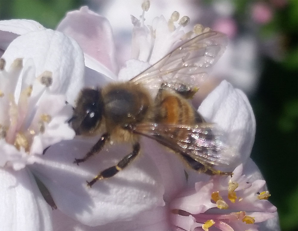 [Image: y20180520_112203.jpg]