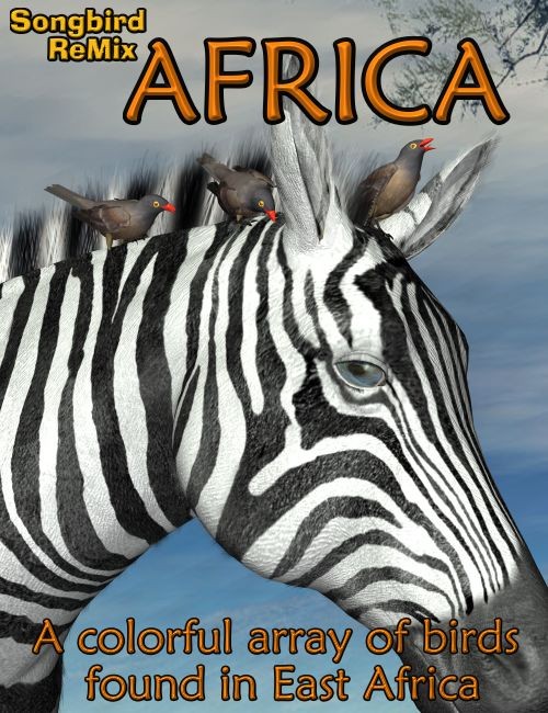 10066 sbrm africa cover1