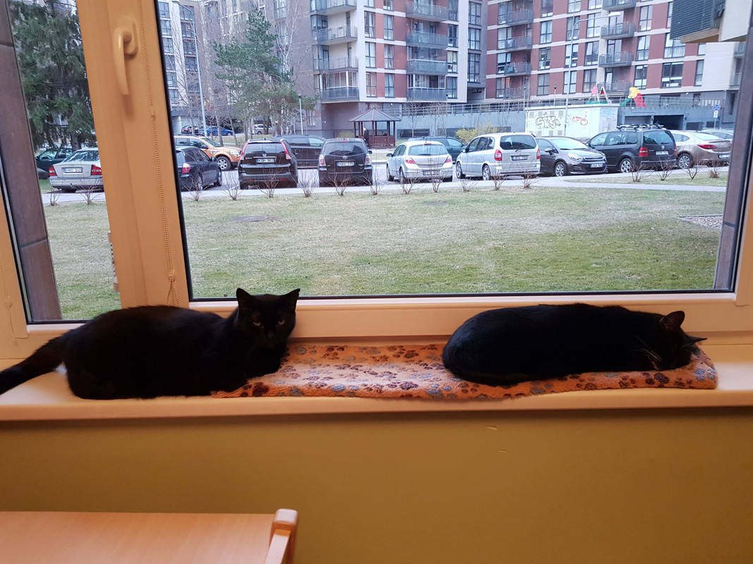 20180416_195423.jpg