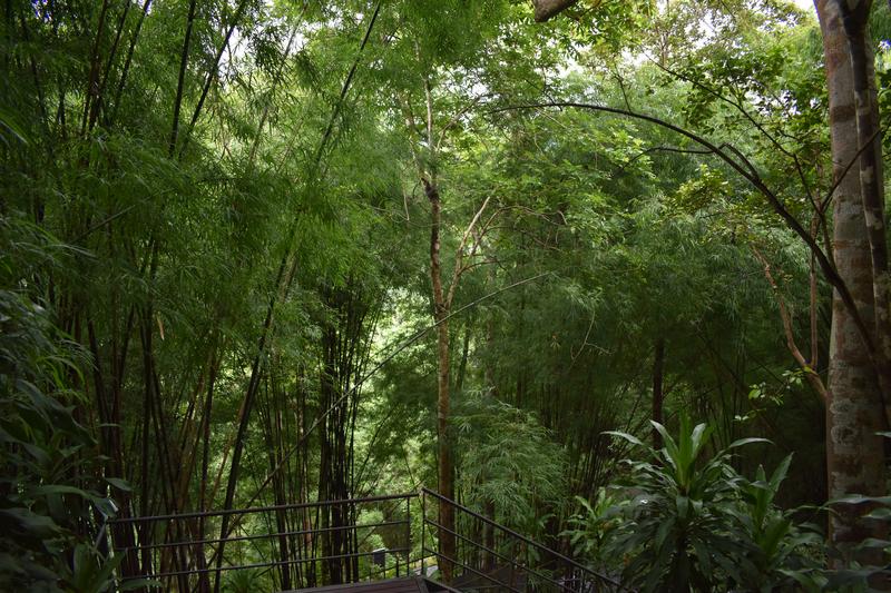 KOH TAO: PLANETA MARAVILLOSO - Blogs de Tailandia - DIA 27: HELLFIRE PASS MUSEUM + CASCADAS DE SAI YOK NOI + VIADUCTO WAMPO (17)