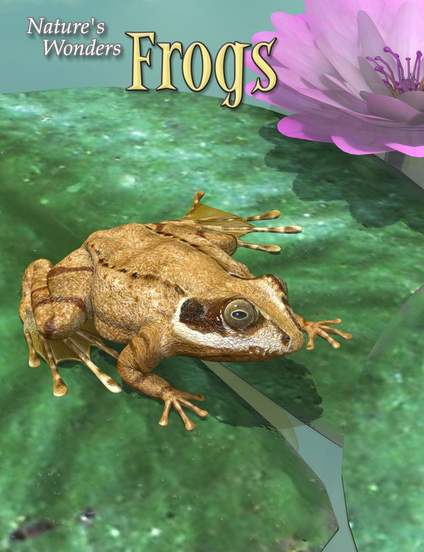 Nature's Wonders Frogs