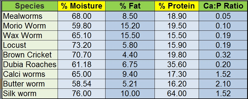 Feeder Insect Nutritional Value Chart